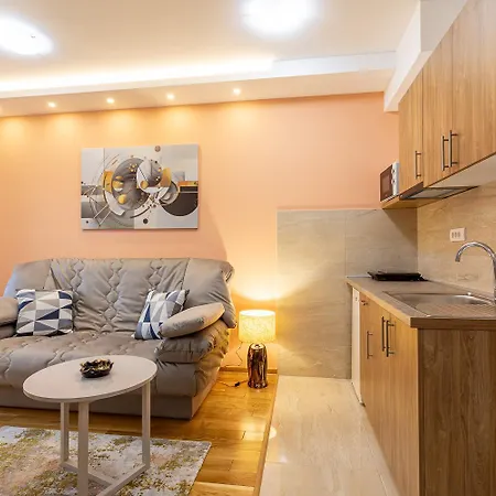 Apartment Gavrilov 1
