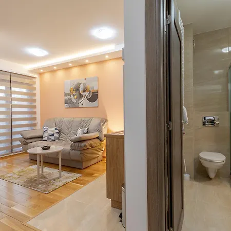 Gavrilov 1 Apartment Zlatibor