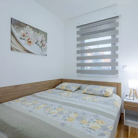 Gavrilov 1 * Zlatibor