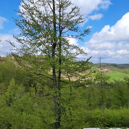 Appartement Gavrilov 1